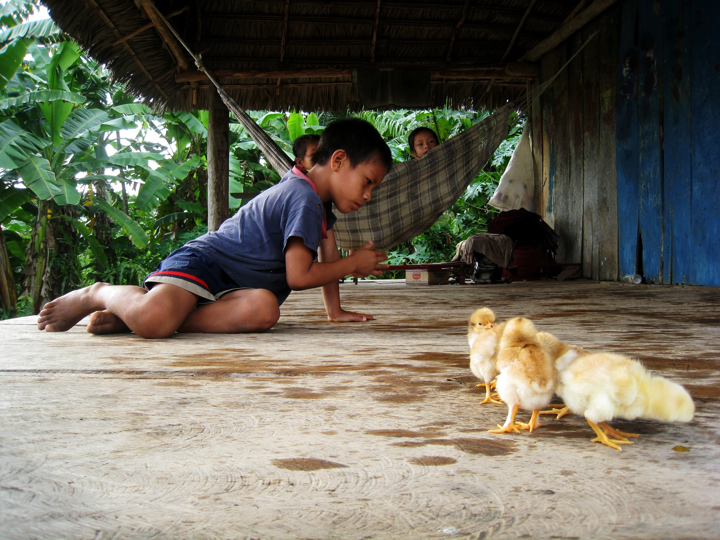 VWI_boywithchicks.jpg