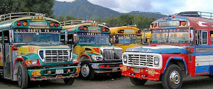Chicken Bus
