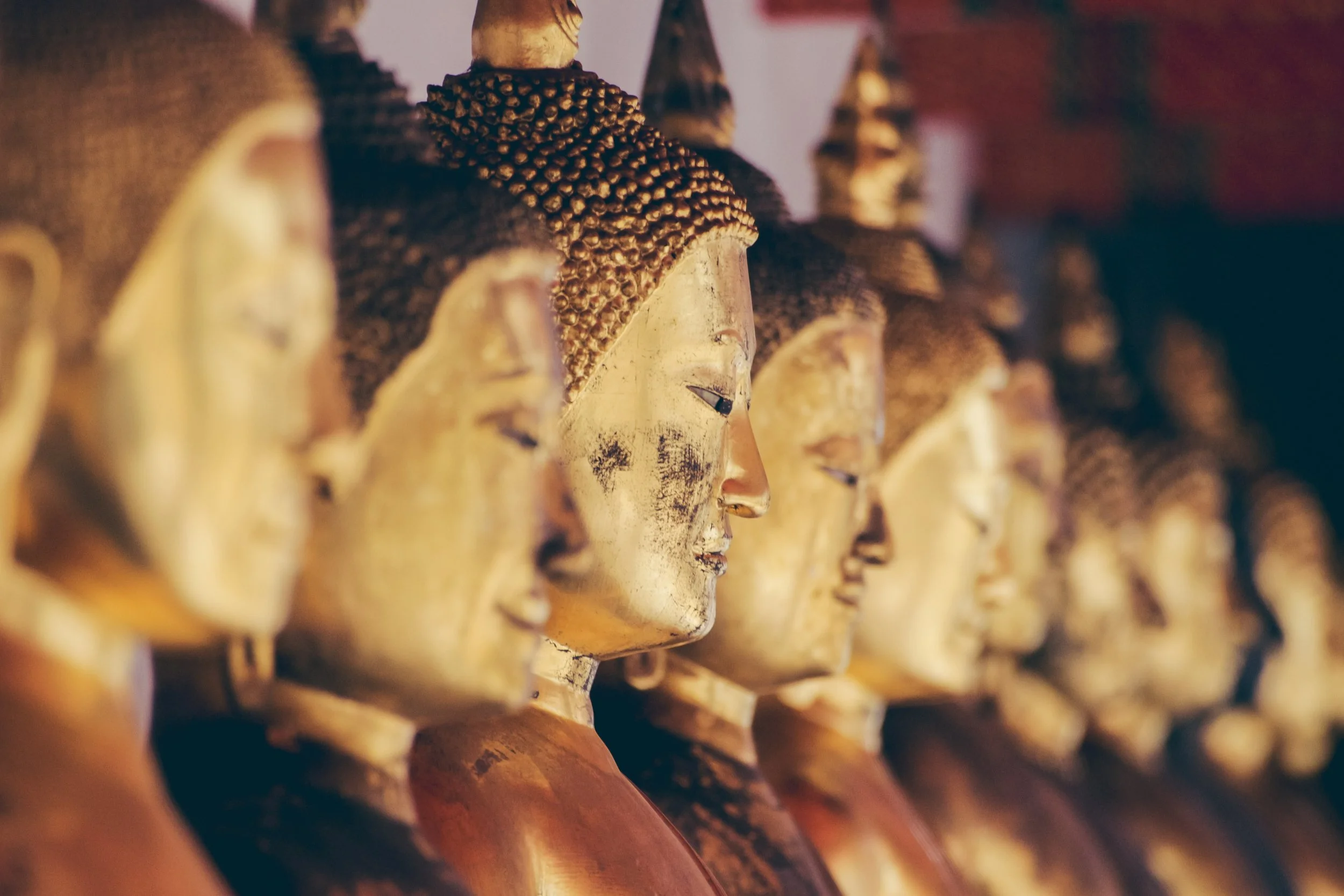 Chiang Mai: 5 Can't-Miss Highlights!